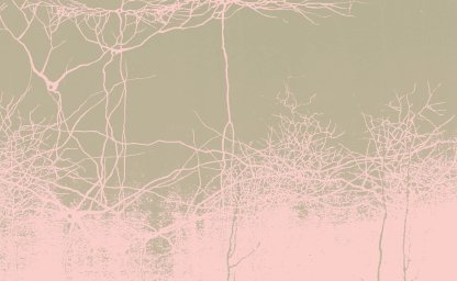 Master in Studi e Politiche di Genere 2026