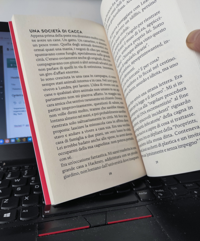 cover-web-ima-2-1 cover-web-ima-2-1